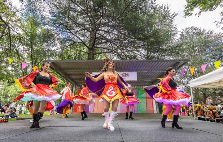 The Queanbeyan Multicultural Festival is Coming to Bungendore: Get Ready!