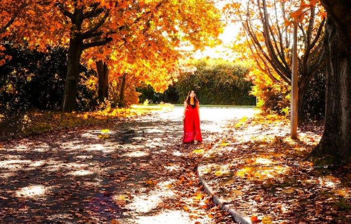 Are you seeing red? Autumn has hit Canberra early (and we couldn’t be more excited!)