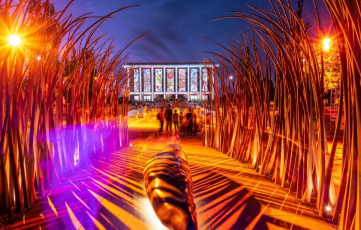 Five ways to connect to Country in Canberra