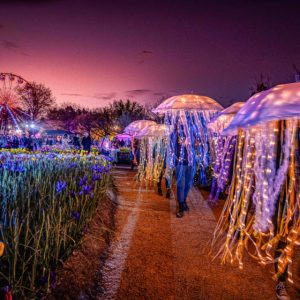 Spring has sprung (and so has your social calendar): 45+ things to do in Canberra this long weekend