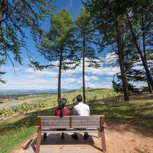 Canberra's most wholesome Reddit thread? We rate Canberra's best benches
