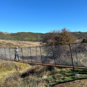 10 of our favourite Canberra walks
