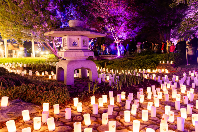 Canberra Nara Candle Festival A celebration of friendship and culture HerCanberra