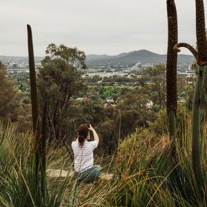 Five reasons why you should stay in Canberra this summer