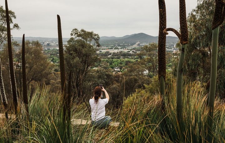 Five reasons why you should stay in Canberra this summer