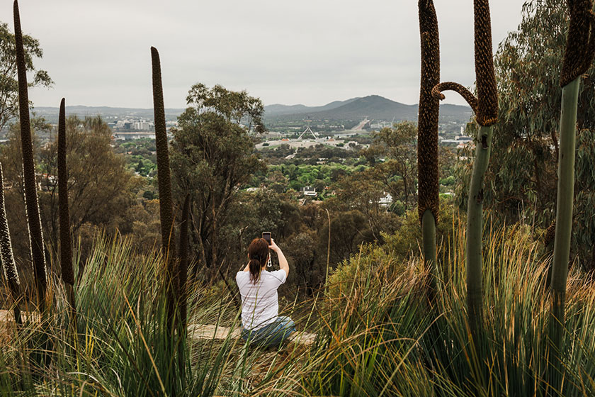 Building tomorrow's Canberra, today: the projects transforming our city ...