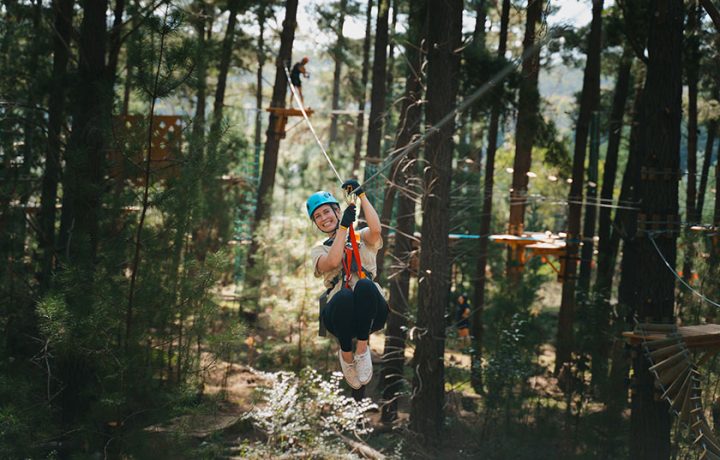 Zip through the treetops: Canberra gets a zipline-only aerial course