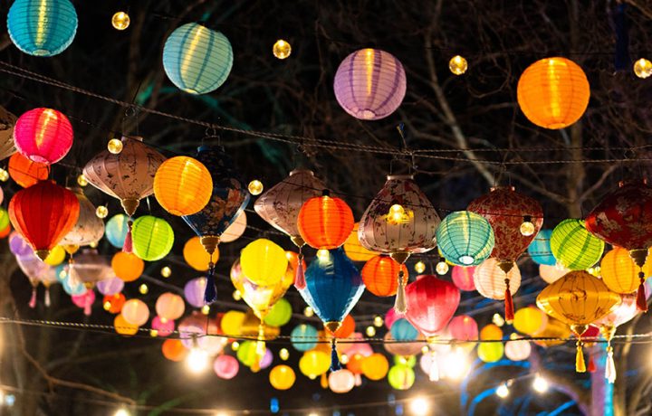 Free food, fire shows and festival fever: This weekend’s unmissable Canberra events