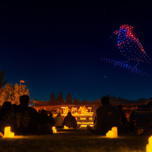 DroneArt Show is landing in Canberra this spring to light up your life