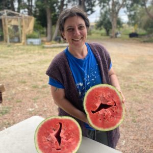 From the farm to your door in a day, Southern Harvest helping Canberrans eat deliciously and sustainably