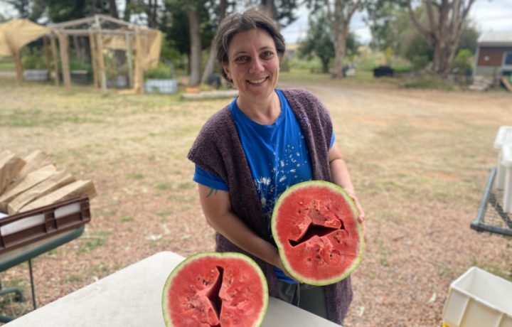 From the farm to your door in a day, Southern Harvest helping Canberrans eat deliciously and sustainably