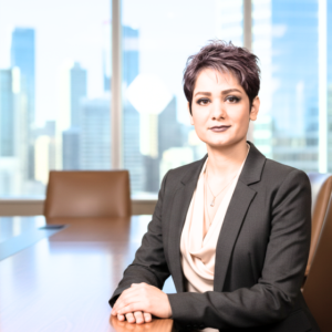 Sam Pedram: leading projects in the national interest