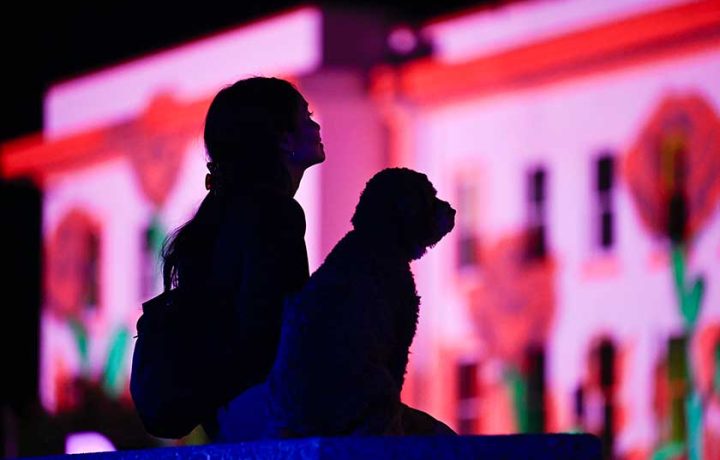 Enlighten 2026: what’s new, what’s back, and what you absolutely should not miss