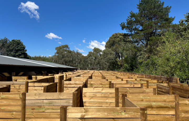 Yarralumla’s amazing new maze to attract new generations of explorers