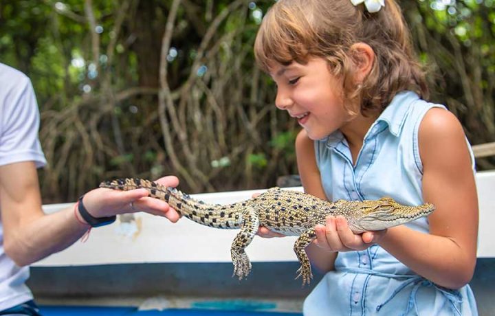 Go wild these school holidays at South.Point (there are reptiles – and chocolate – involved)!