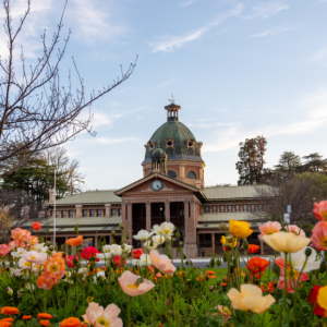 A Canberra Girl’s Guide to Bathurst