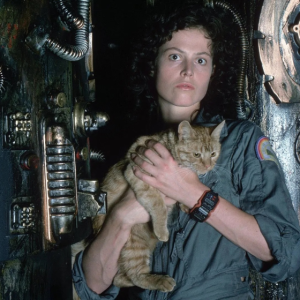 A Canberra cinephile’s winter survival guide:  three months of fabulous film at the NFSA