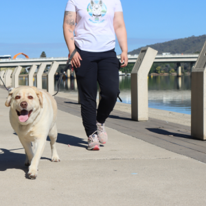 This will get your tail wagging – the Canberra Paws Walk is back for another year