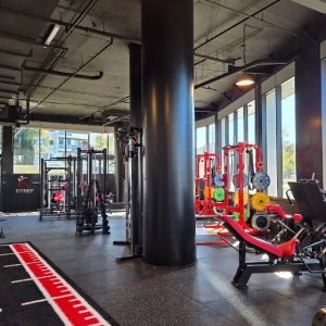 From the grand opening of FITREP to Australian Dance Party's 10th birthday, here's what's on this weekend