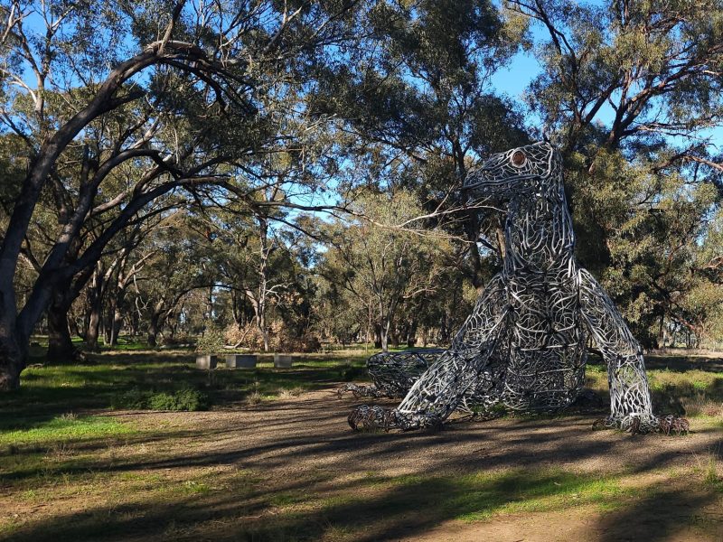 a large goanna sculpture made of webs of steel piping set in amongst large shady gumtrees.