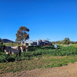 Is Forbes the perfect reset for Canberra families?