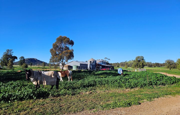 Is Forbes the perfect reset for Canberra families?