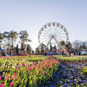 This year, Floriade is serving up its most delicious theme yet