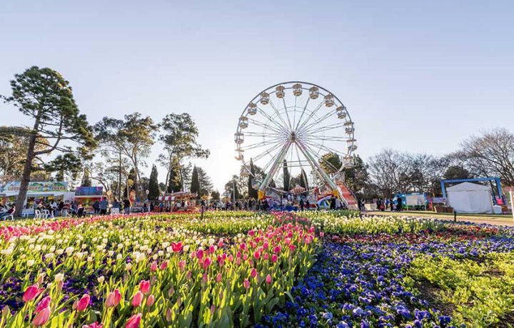 This year, Floriade is serving up its most delicious theme yet