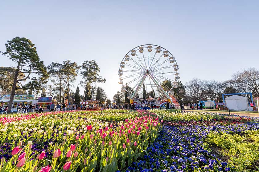 Hello weekend plans! Here are 90+ things to do in Canberra