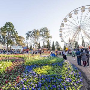 What not to miss during Floriade’s opening week