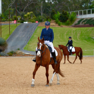 Canberran para-equestrian reaches for the stars in hopes of riding on to the world stage