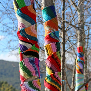 75+ unmissable things to do in Canberra this weekend