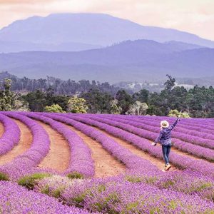 From Hobart to Launceston: A very full Tasmanian adventure, just a short flight away