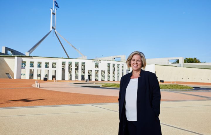How I got here: Denita Wawn, first female CEO of Master Builders Australia