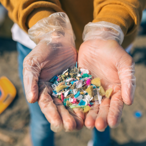 What are microplastics doing in Canberra?