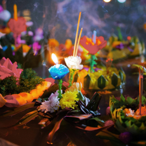 A festival of floating lotuses is coming to Canberra