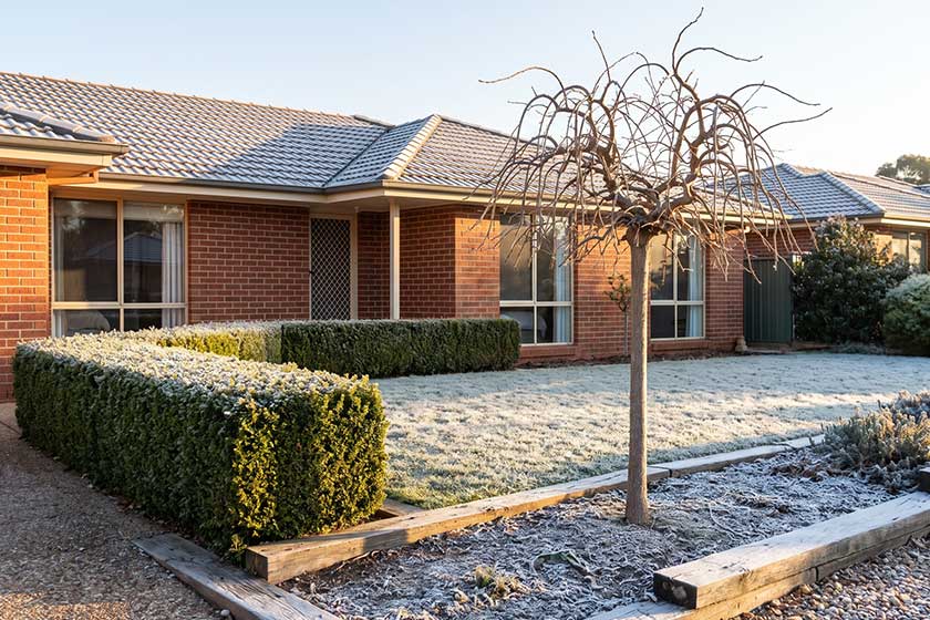The trees and hedges that cope with a Canberra winter